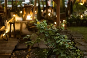 quel ampoule choisir pour décorer un jardin ?